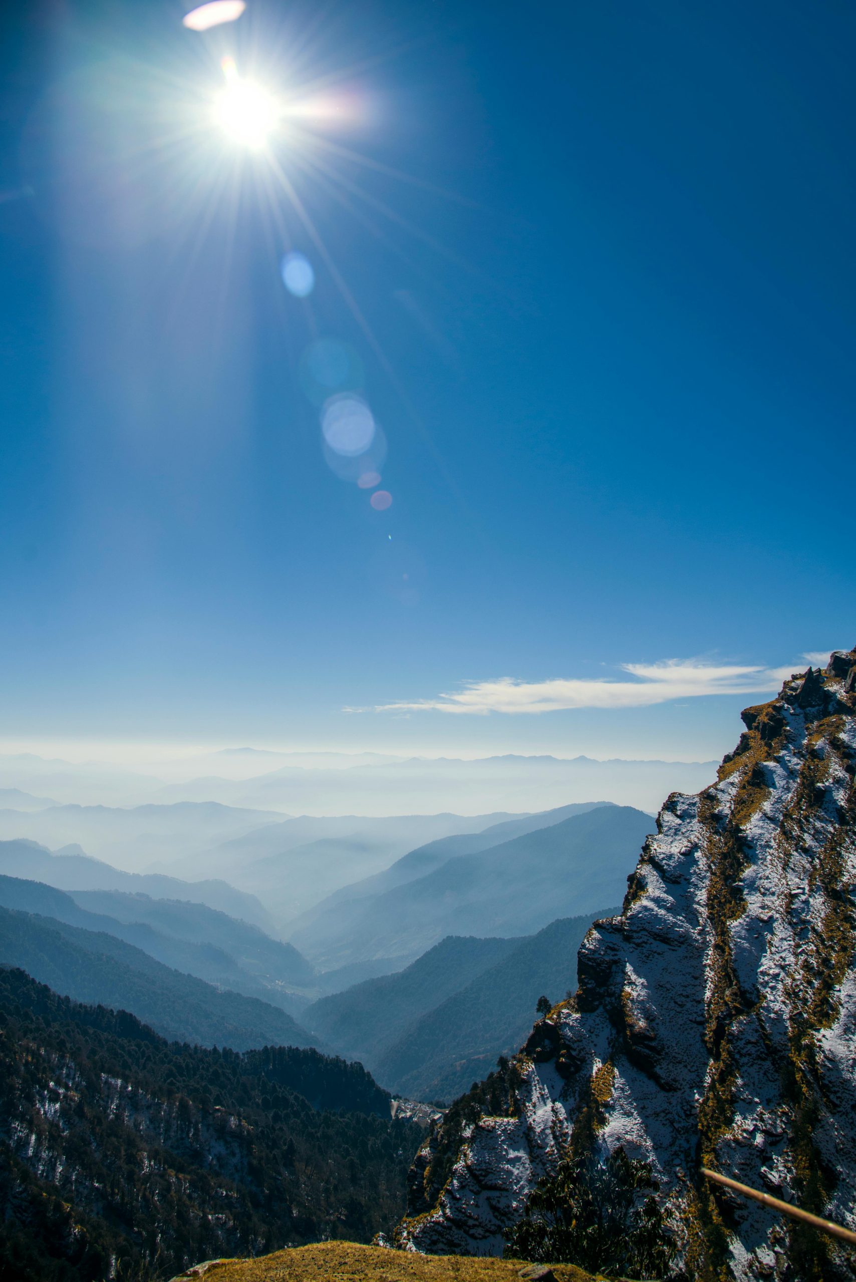 Iced Latte Sommertrend 2025: Neue Sorten, kreative Vielfalt, Kaffeegenuss